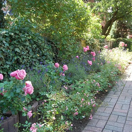 Schönes Wohnen Am Südstrand 4 * Wyk auf Föhr